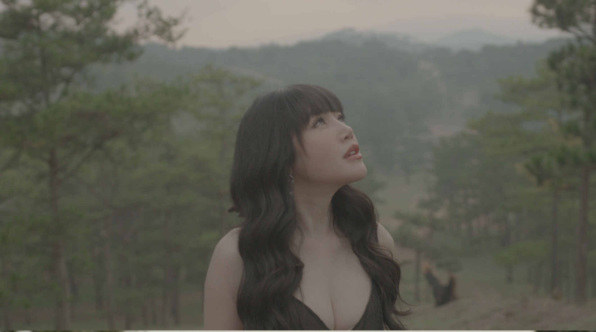 Combo LUTs Collection Pack