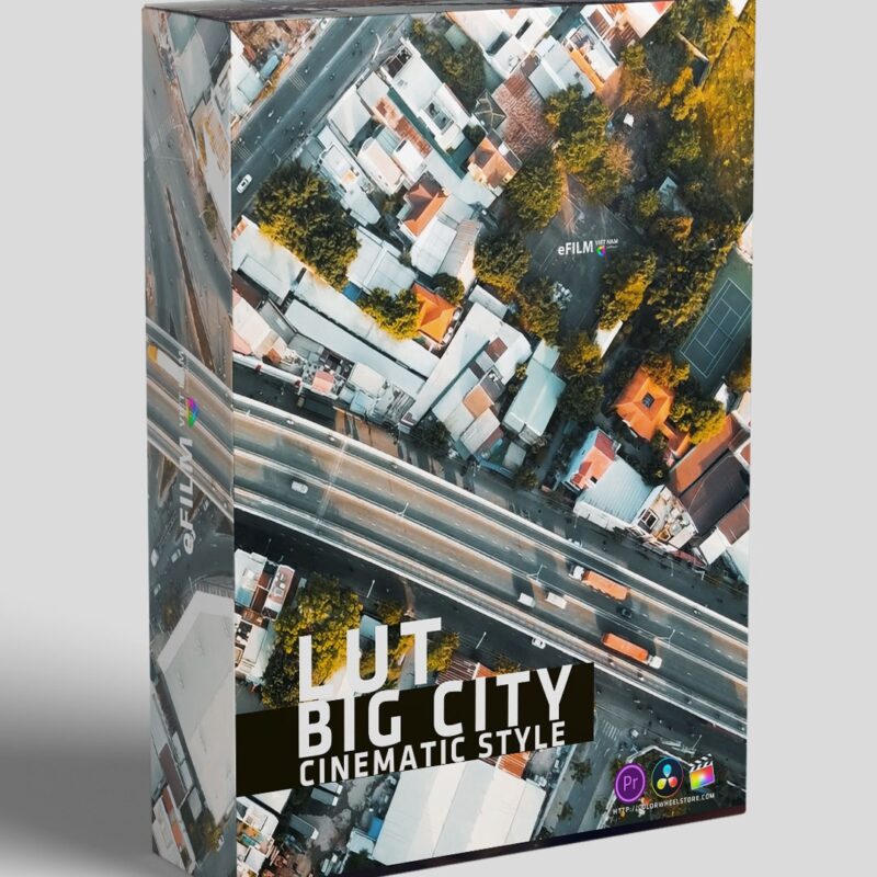 LUTs Big city cinematic style