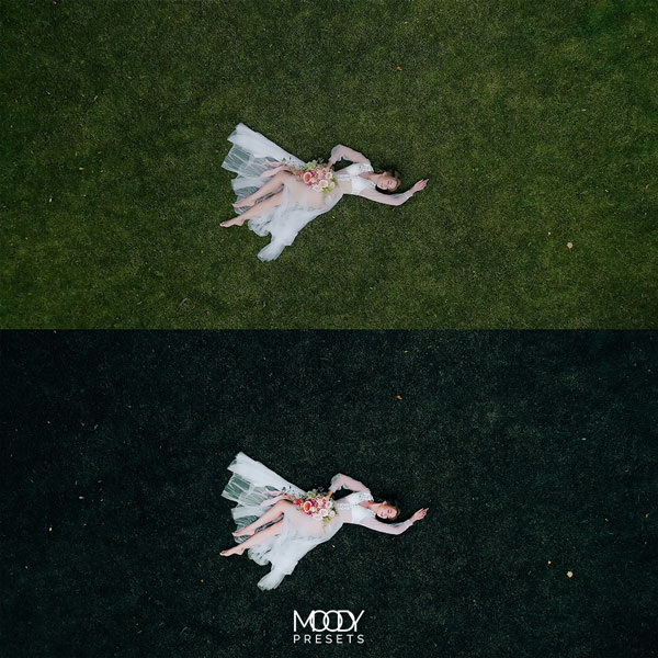 Premium Wedding LUTs