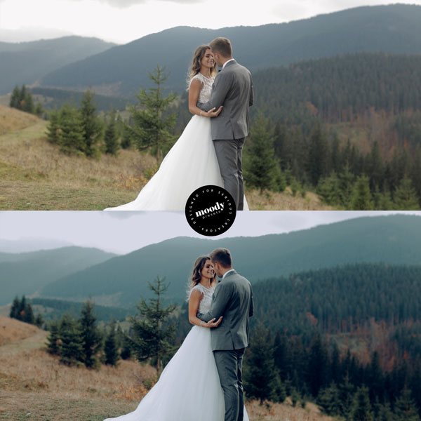 Premium Wedding LUTs