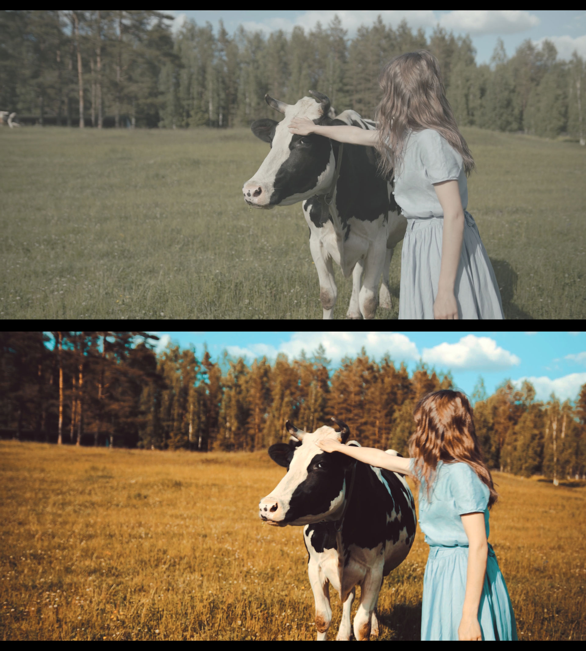 LUTs Teal Orange Style