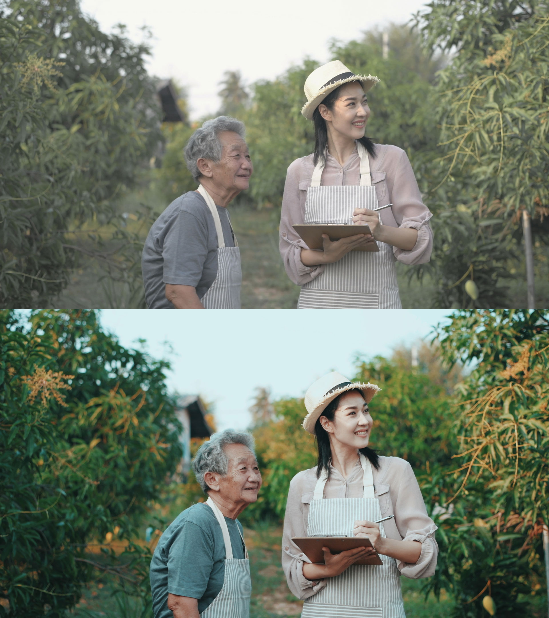 LUTs Vibrant Style Pack