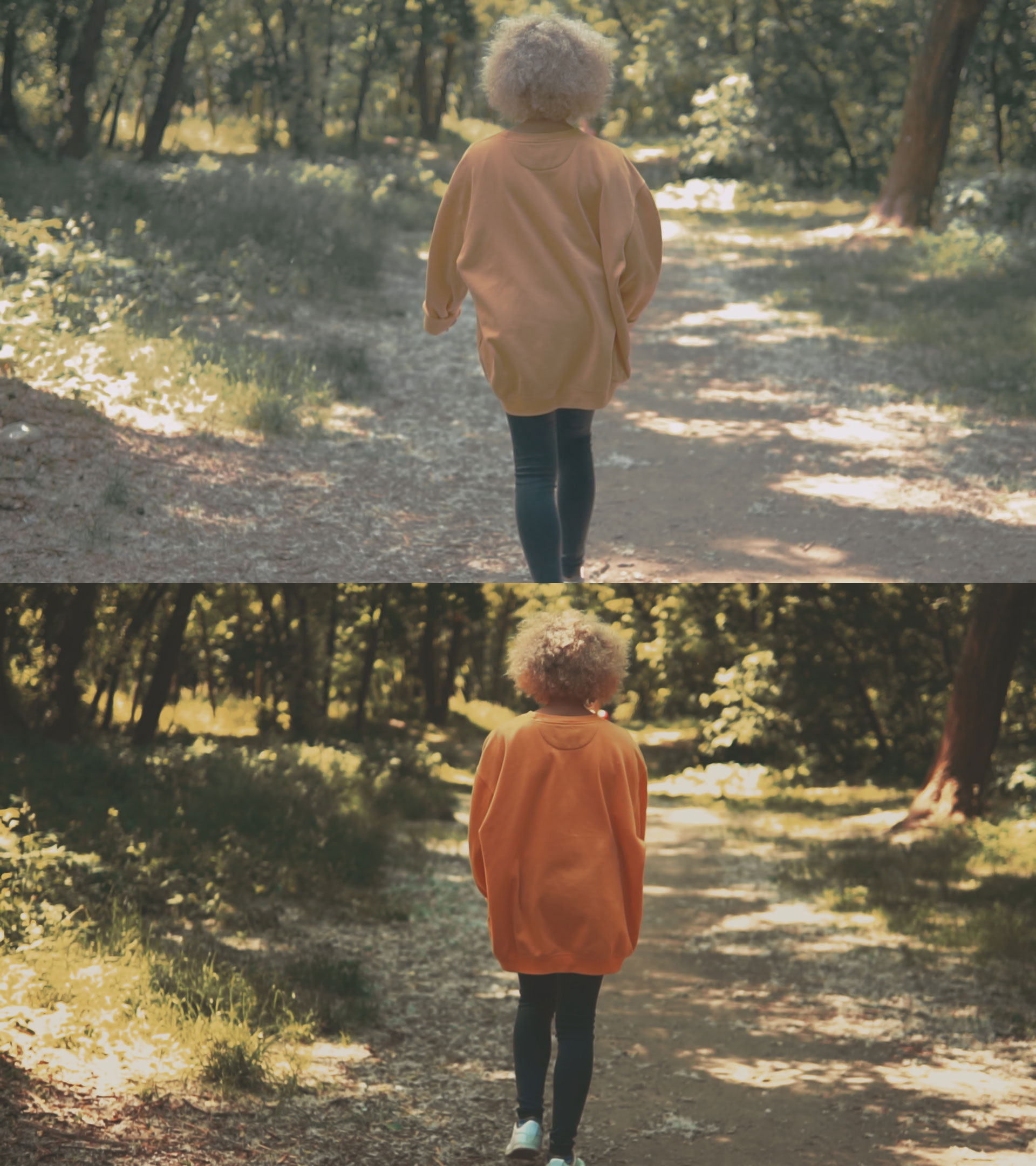 LUTs Travel Vol 1 Summer Style